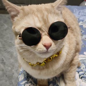 软风撞怀确定 伴奏