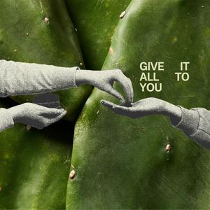give it all to you