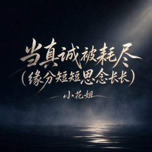 当真诚被耗尽(缘分短短思念长长)