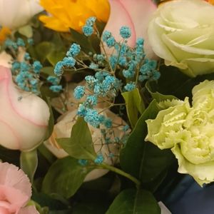 玫瑰（翻自玫瑰）