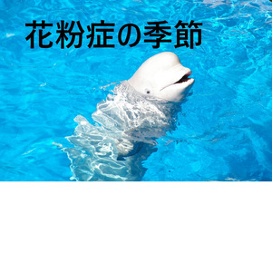 花粉症の季節