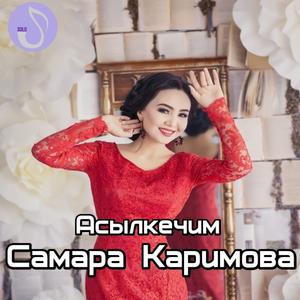 Баары сендей