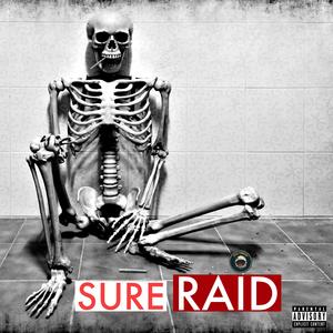 SureRaid