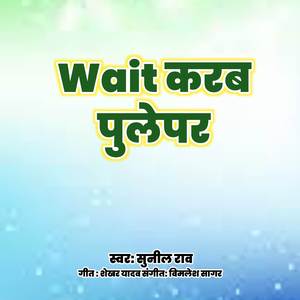 Wait करब पुलेपर
