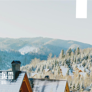 【翻唱】我的心动被什么打了岔-许新淳/五毛