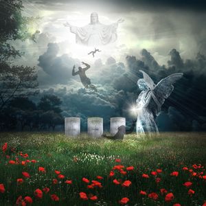 [free]我失去的公主殿下