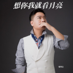 想你我就看月亮 -崔伟立DJ伟然版