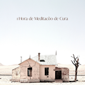 Meditação e Budista