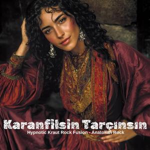 Karanfilsin Tarçınsın