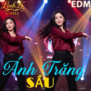 Ánh Trăng Sầu (EDM)