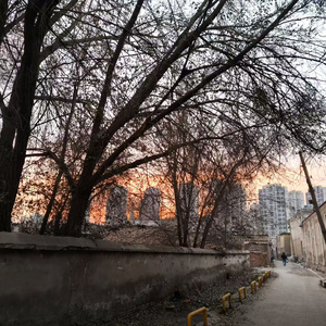 世界教我坚强 你教我别逞强