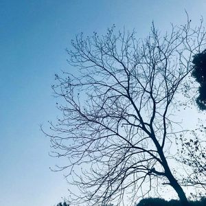 贝加尔湖畔【二胡版】