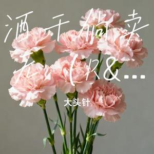 酒干倘卖无 (R&B版) (Cover 孙露)