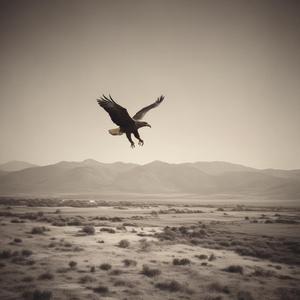 Eagle's Flight by @yopirro