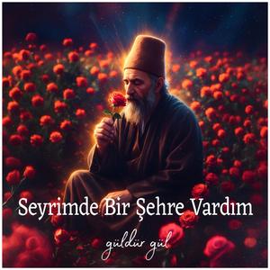 Ümmî Sinan - Seyrimde Bir Şehre Vardım | güldür gül
