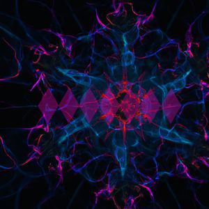Sonic Waves of Elysium Echoing in Cyberspace