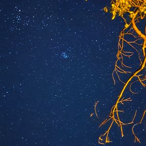 蝉鸣裹着未说的梦