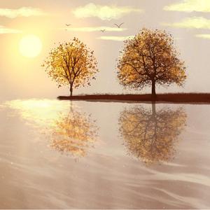 羡慕风羡慕雨（live）