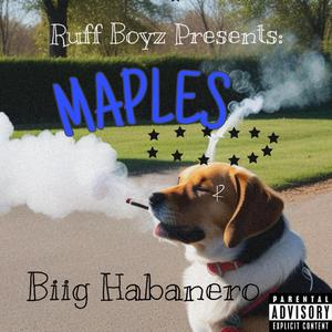 MAPLES