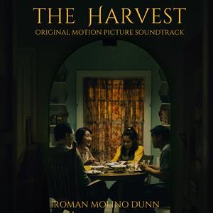 More Complicated than We Imagine