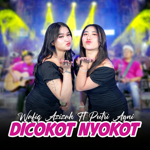 Dicokot Nyokot