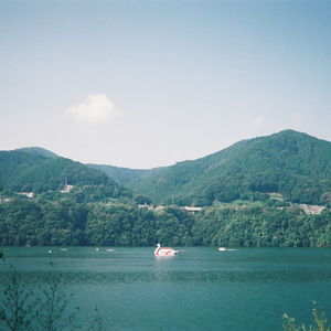 ゴーゴー魚釣り