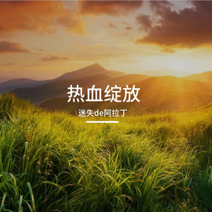 热血绽放