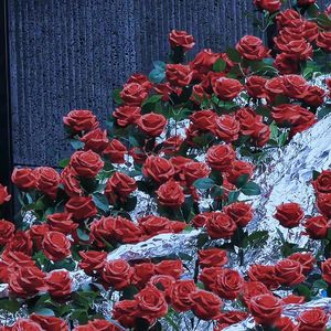 不要忘记我爱你