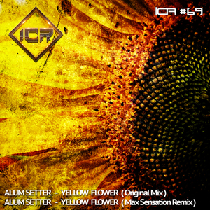 Yellow Flower (Max Sensation Remix)