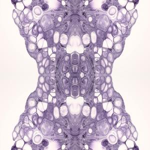 Сау бул эткэй