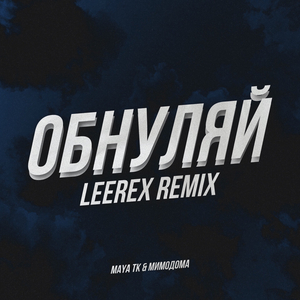 Обнуляй (Leerex Remix)