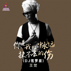 你是我心中永远抹不去的伤 (DJ佐罗版)