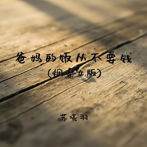 爸妈的饭从不要钱(烟嗓女版)
