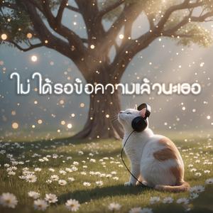 ไม่ได้รอข้อความแล้วนะเธอ