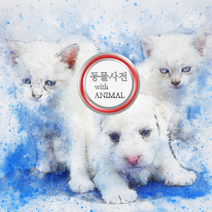 산타크로스 없는 크리스마스