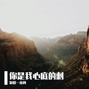 你是我心底的刺