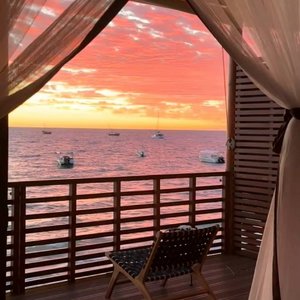 我的秘密是喜欢你