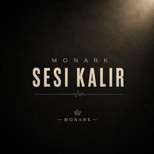 Sen Gidince