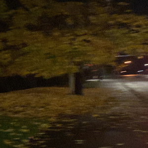 under the apple tree