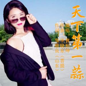 天下第一蒜 曹裕坤 伴奏