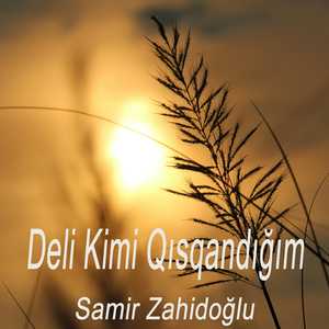 Deli Kimi Qısqandığım