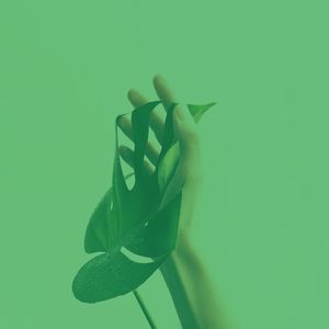 一尘不染温泉印象数