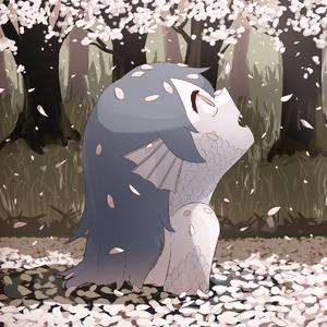 壳