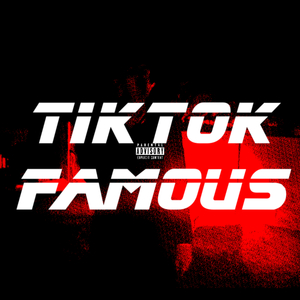 TIKTOK FAMOUS