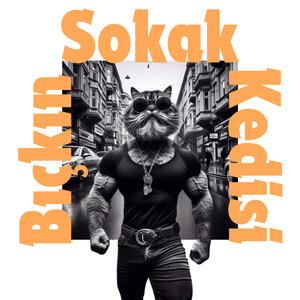 Bıçkın Sokak Kedisi