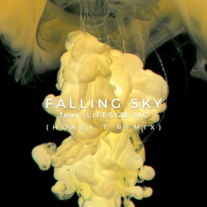 Falling Sky feat. Lifesize MC (Honey T Remix)