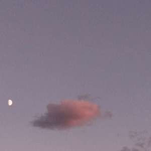 去年七夕的风也很温柔