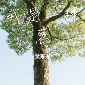 我是一棵葱