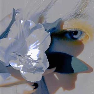 夜空中最亮的星