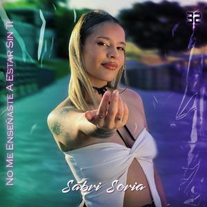 No Me Enseñaste a Estar Sin Ti (Remix)